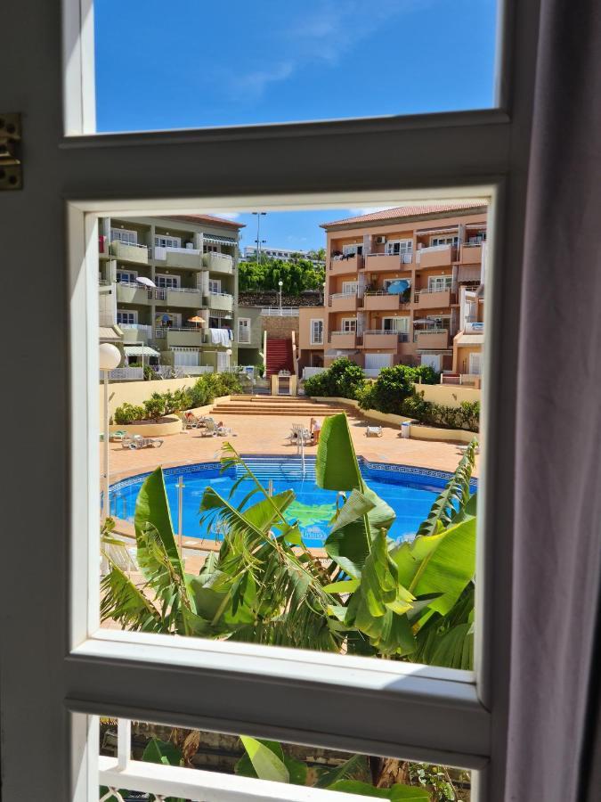 Orlando Tenerife Sur Donald 109